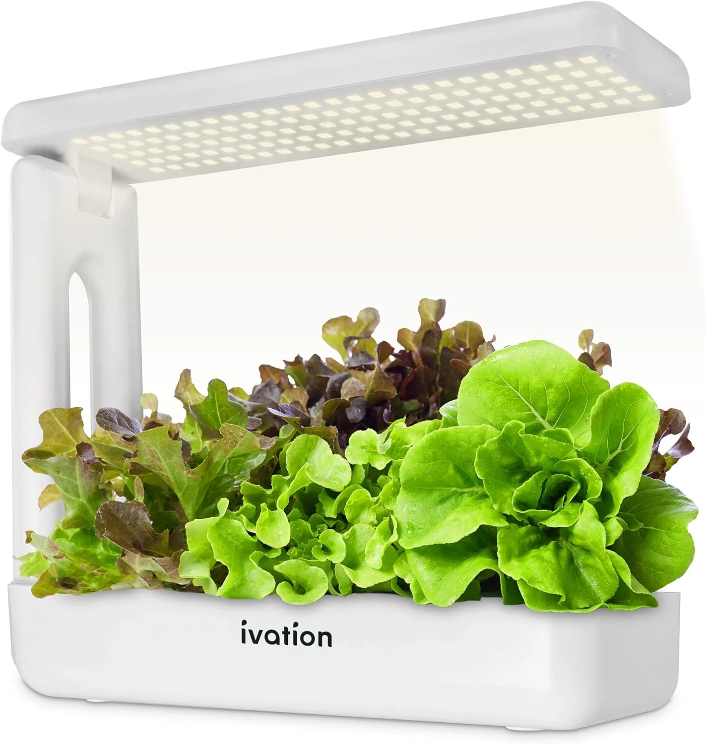 5 Replacement Hydroponics Seed Pods for IVAHG20 Indoor Herb Growing Kit - Image 3