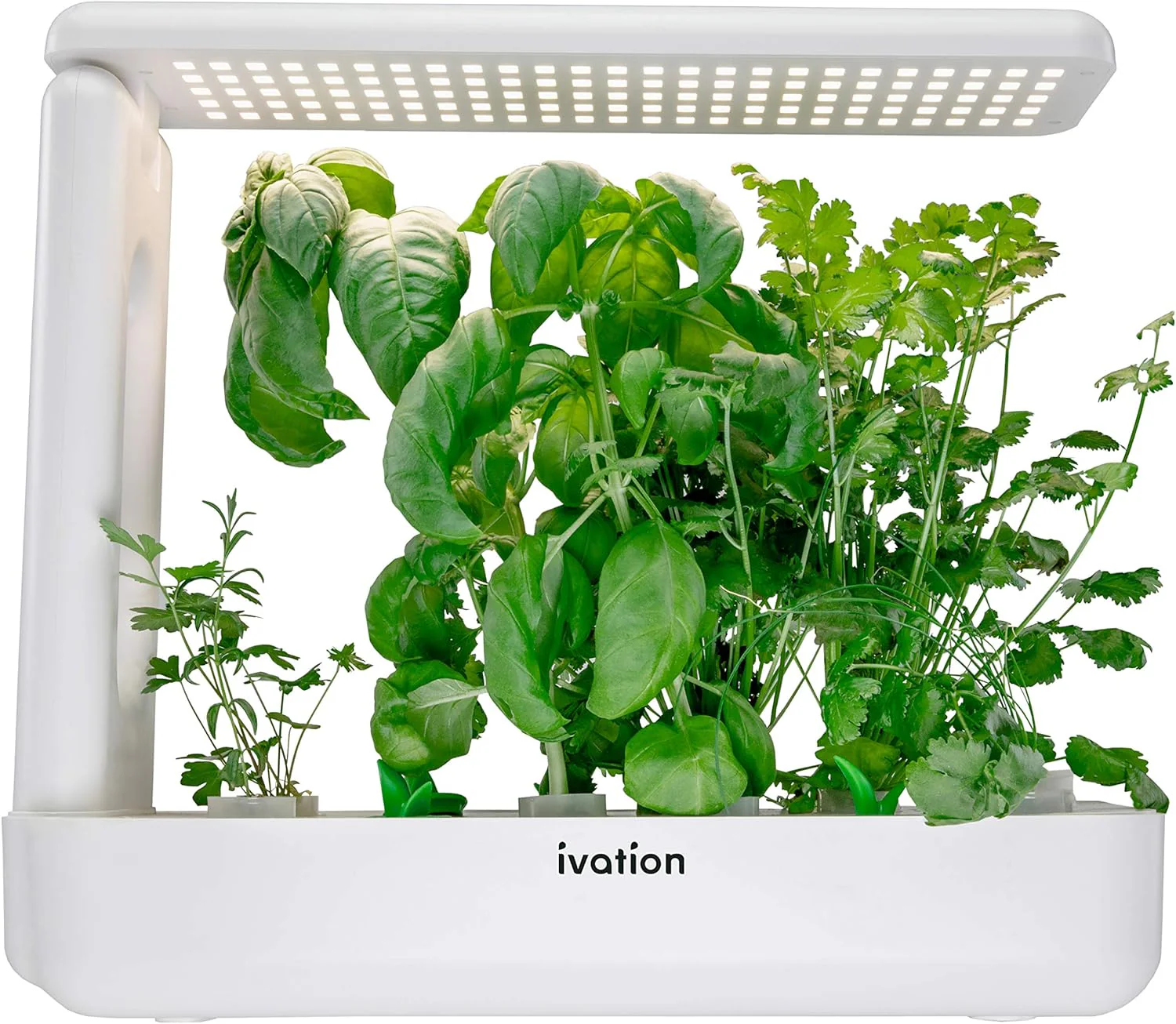 5 Replacement Hydroponics Seed Pods for IVAHG20 Indoor Herb Growing Kit - Image 4