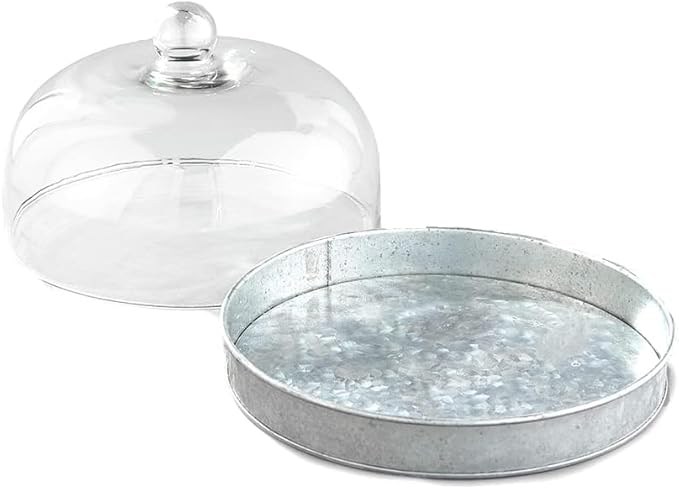 SkyMall Galvanized Metal and Glass Dome Server - Image 4