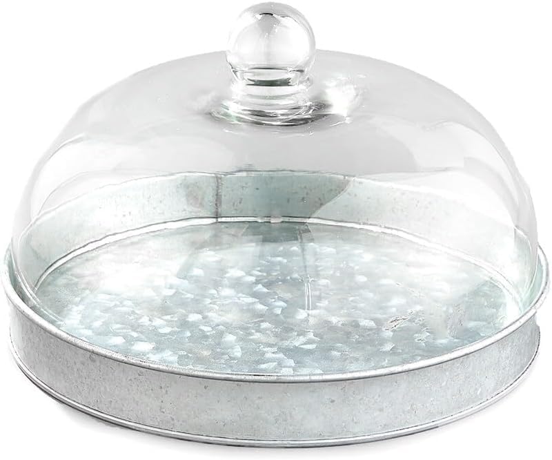 SkyMall Galvanized Metal and Glass Dome Server - Image 6