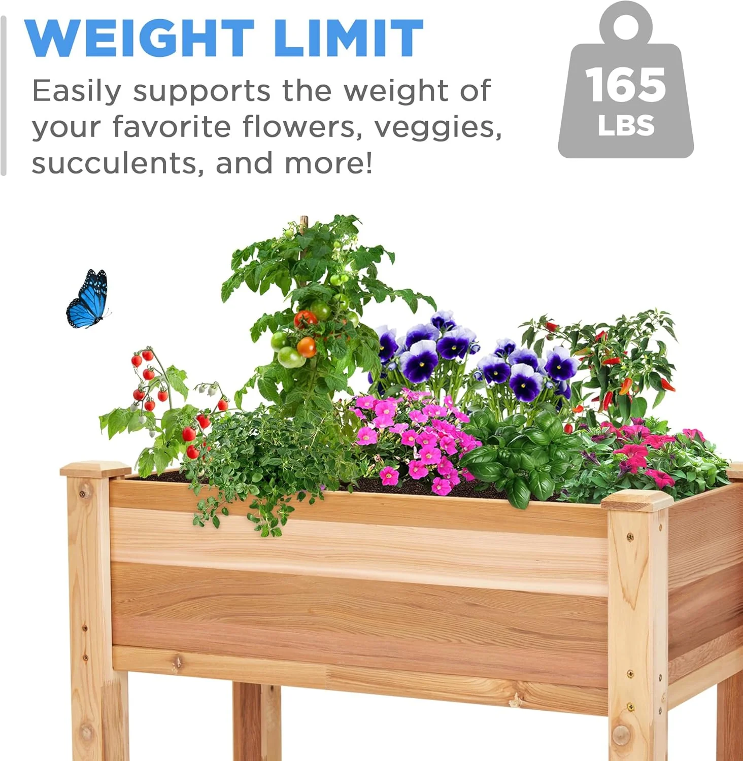 Raised Canadian Cedar Garden Bed 34x18x30” Herb Planter for Growing Fresh Flower & More - Image 2
