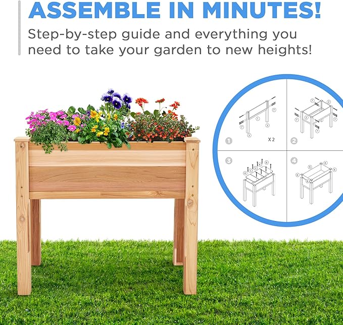 Raised Canadian Cedar Garden Bed 34x18x30” Herb Planter for Growing Fresh Flower & More - Image 3