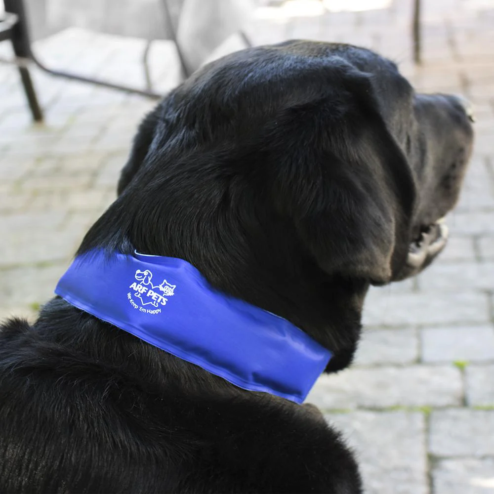 Cooling Dog Collar, Non-Toxic Dog Cooling & Relieves Heat Stress - Image 4