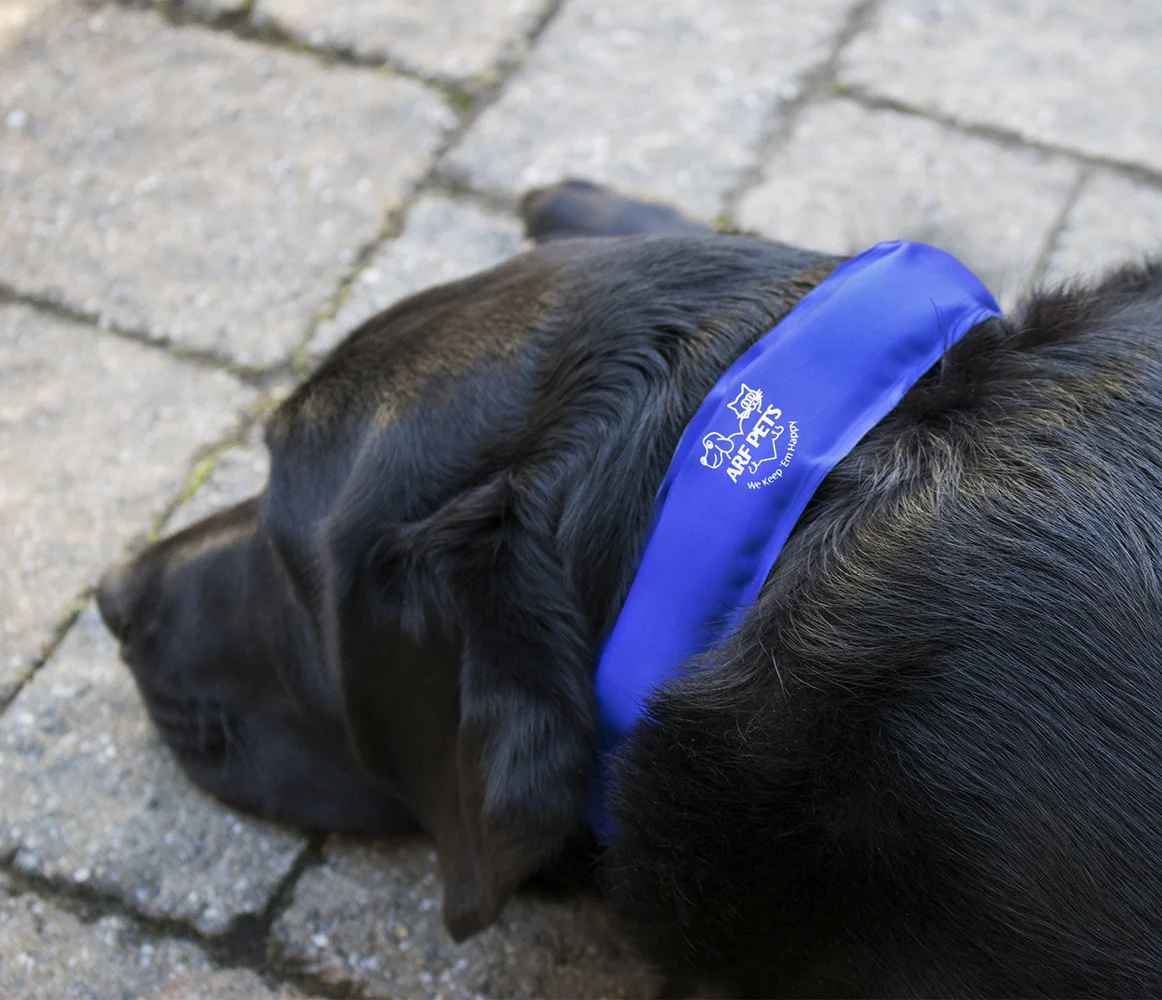 Cooling Dog Collar, Non-Toxic Dog Cooling & Relieves Heat Stress - Image 5