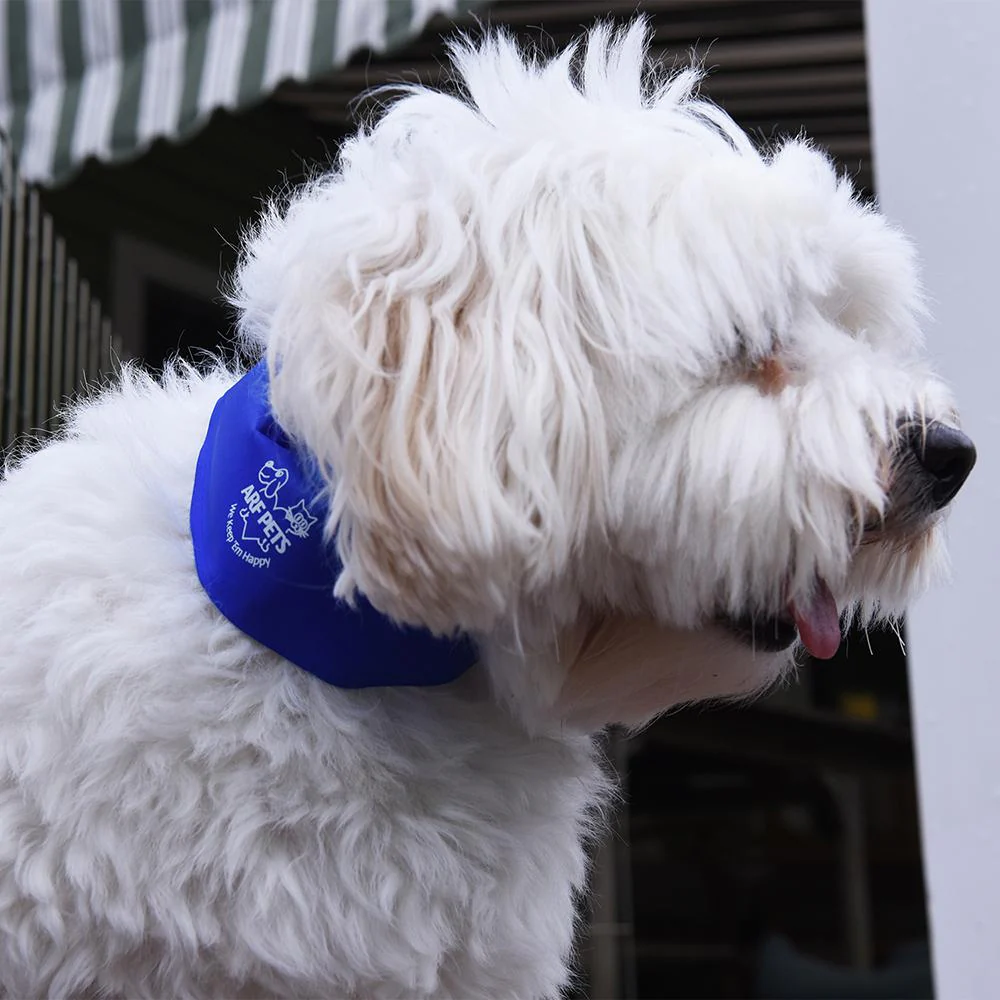 Cooling Dog Collar, Non-Toxic Dog Cooling & Relieves Heat Stress - Image 7
