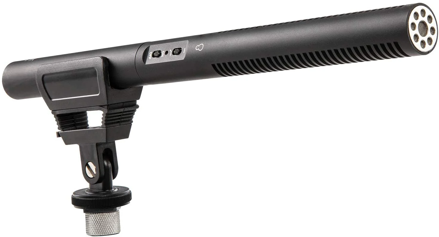 Shotgun Microphone with Shock Mount and Wind Screen
